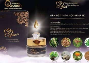 thành phần của viên đặt se khít vùng kín briar