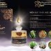 thành phần của viên đặt se khít vùng kín briar