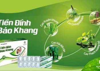 Thành phần của Tiền Đình Bảo Khang