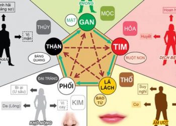 Ngũ hành của lục phủ ngũ tạng