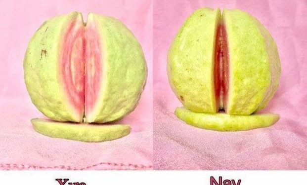 thực phẩm làm se khít vùng kín