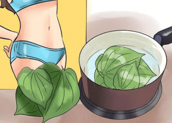 Cách làm hồng vùng kín bằng lá trầu không rất đơn giản tại nhà