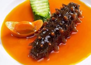 Hải sâm làm món gì ngon