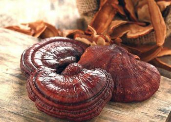 cay-thuoc-nam-giup-tang-cuong-sinh-ly