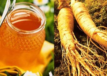 nhan-sam-ngam-mat-ong