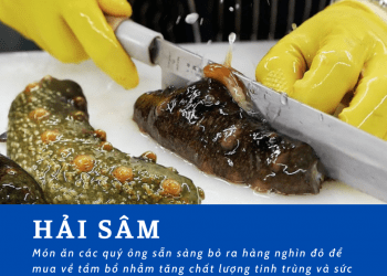 Hải sâm kháng viêm, giải độc, tăng cường sinh lý nam – Thực phẩm khuyên dùng mùa dịch