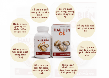 huong-dan-su-dung-cua-hau-bien-ob