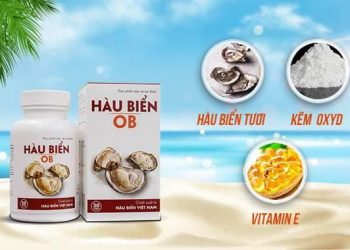 mua-hau-bien-ob-o-dau