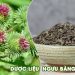 Thành phần, tác dụng của Ngưu bàng tử và các bài thuốc chữa bệnh