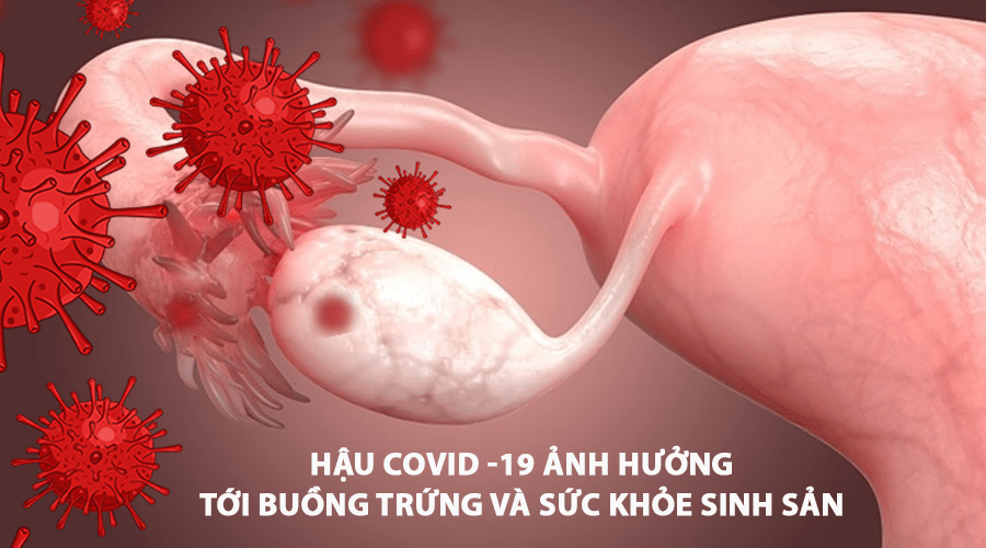 hau-covid-anh-huong-den-suc-khoe-sinh-san-va-sinh-duc-o-nu (1)