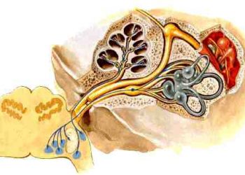 hoi-chung-tien-dinh-va-duong-dan-truyen-thang-bang-1