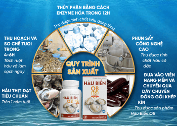 giá hàu biển ob