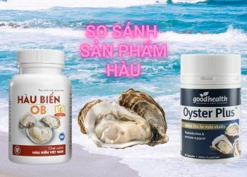 hàu biển ob và hàu oyster plus
