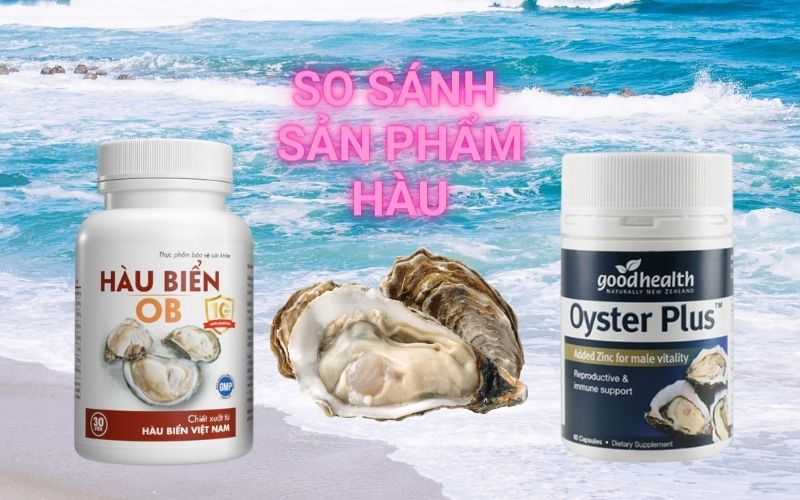 hàu biển ob và hàu oyster plus