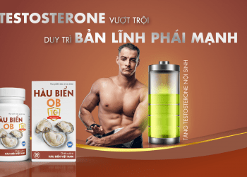 hàu biển ob có tốt không