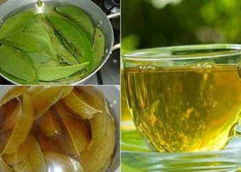 nước lá ổi